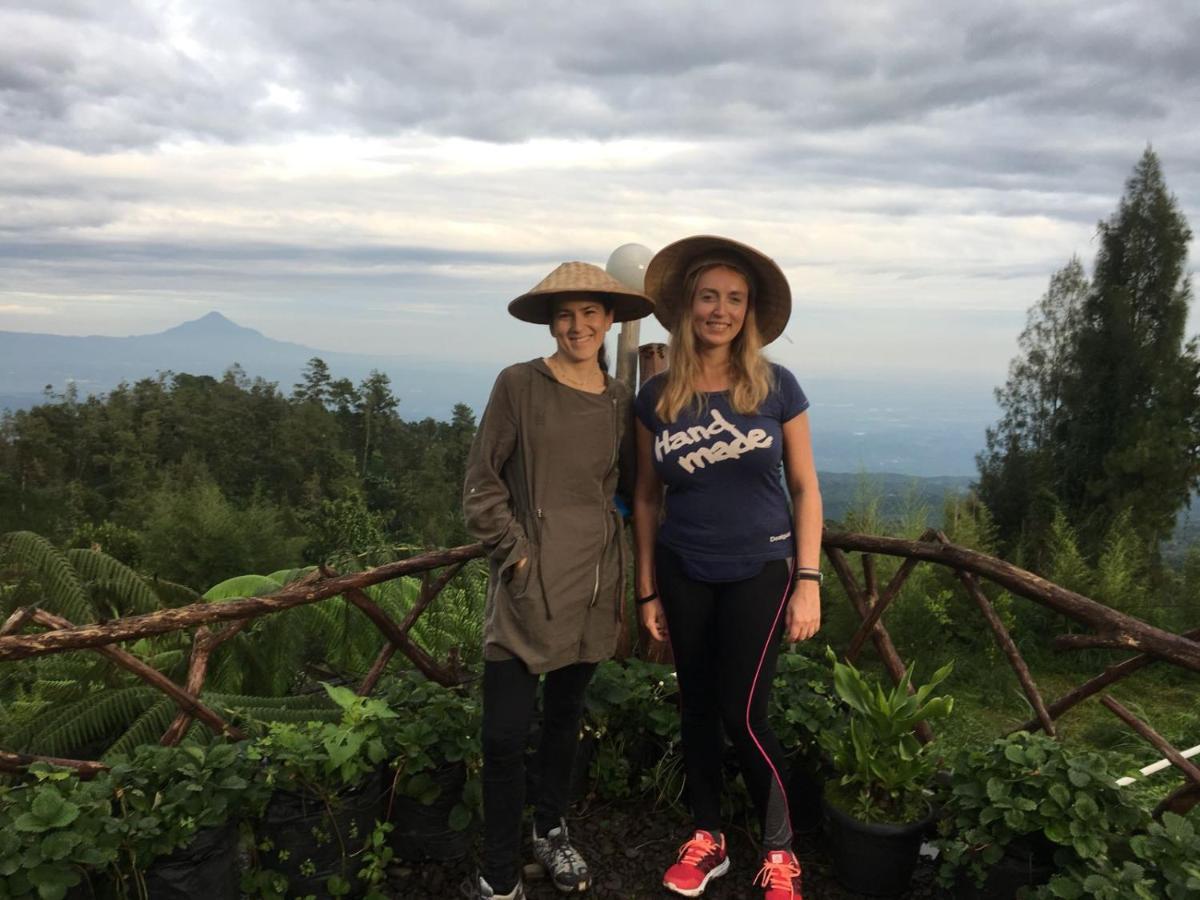 Tosari Bromo Tanjung 아파트 외부 사진