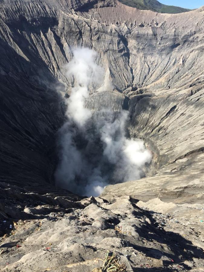 Tosari Bromo Tanjung 아파트 외부 사진
