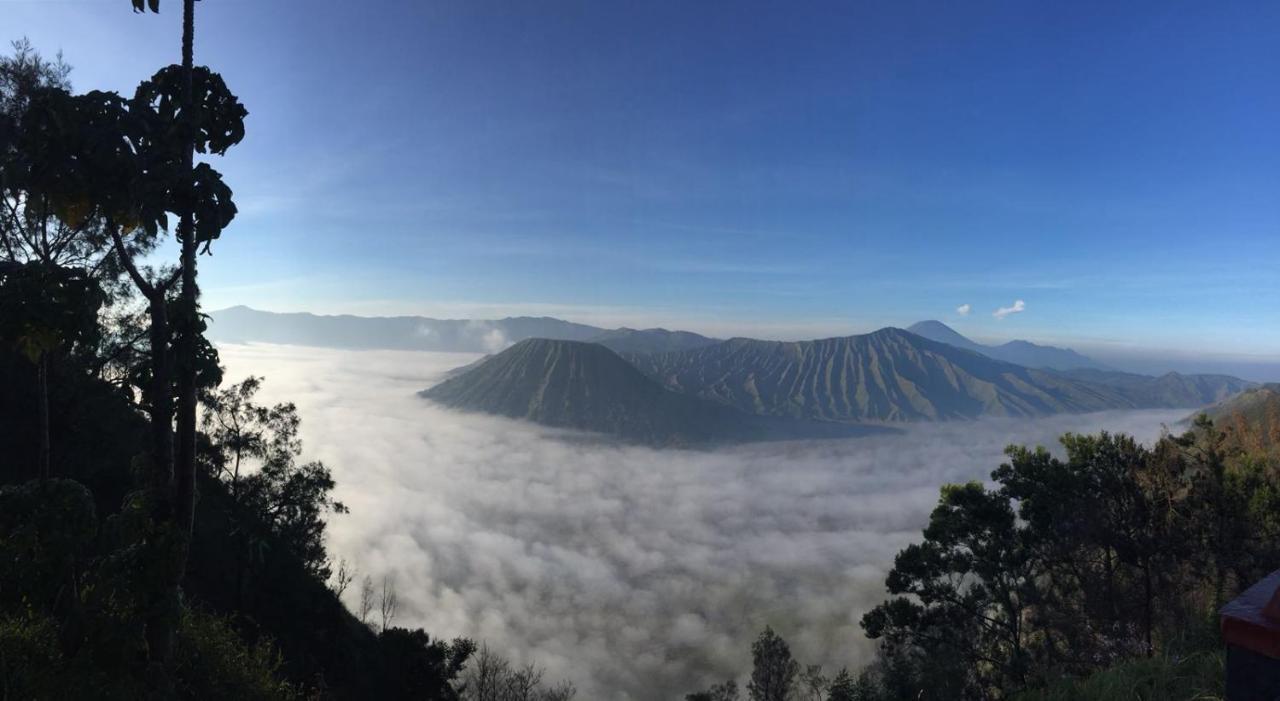 Tosari Bromo Tanjung 아파트 외부 사진