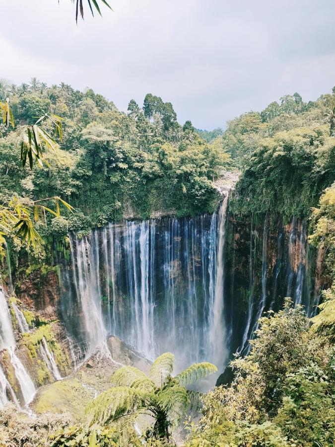 Tosari Bromo Tanjung 아파트 외부 사진