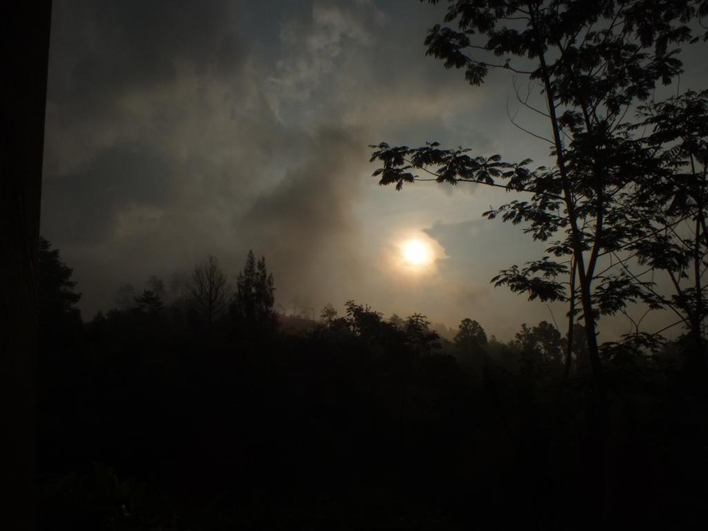 Tosari Bromo Tanjung 아파트 외부 사진