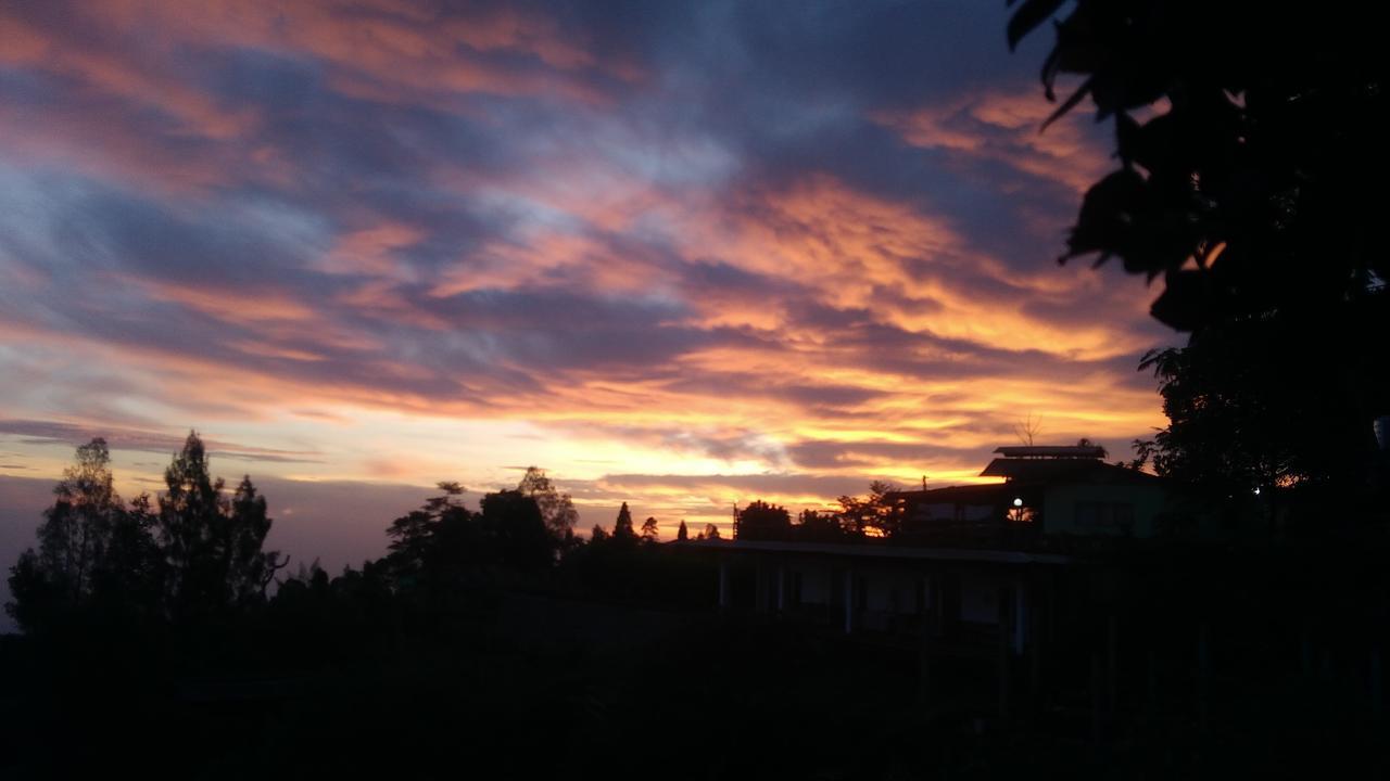 Tosari Bromo Tanjung 아파트 외부 사진