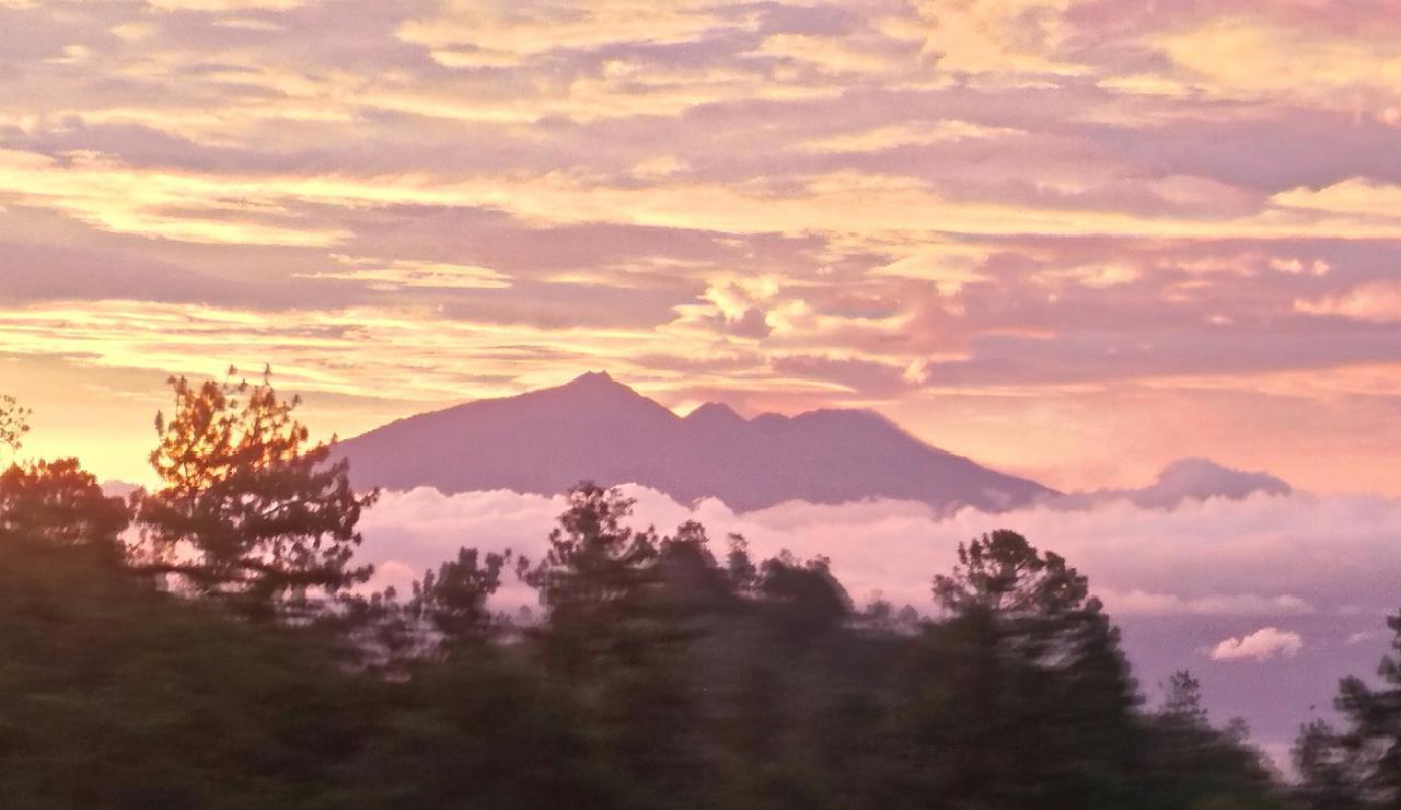 Tosari Bromo Tanjung 아파트 외부 사진
