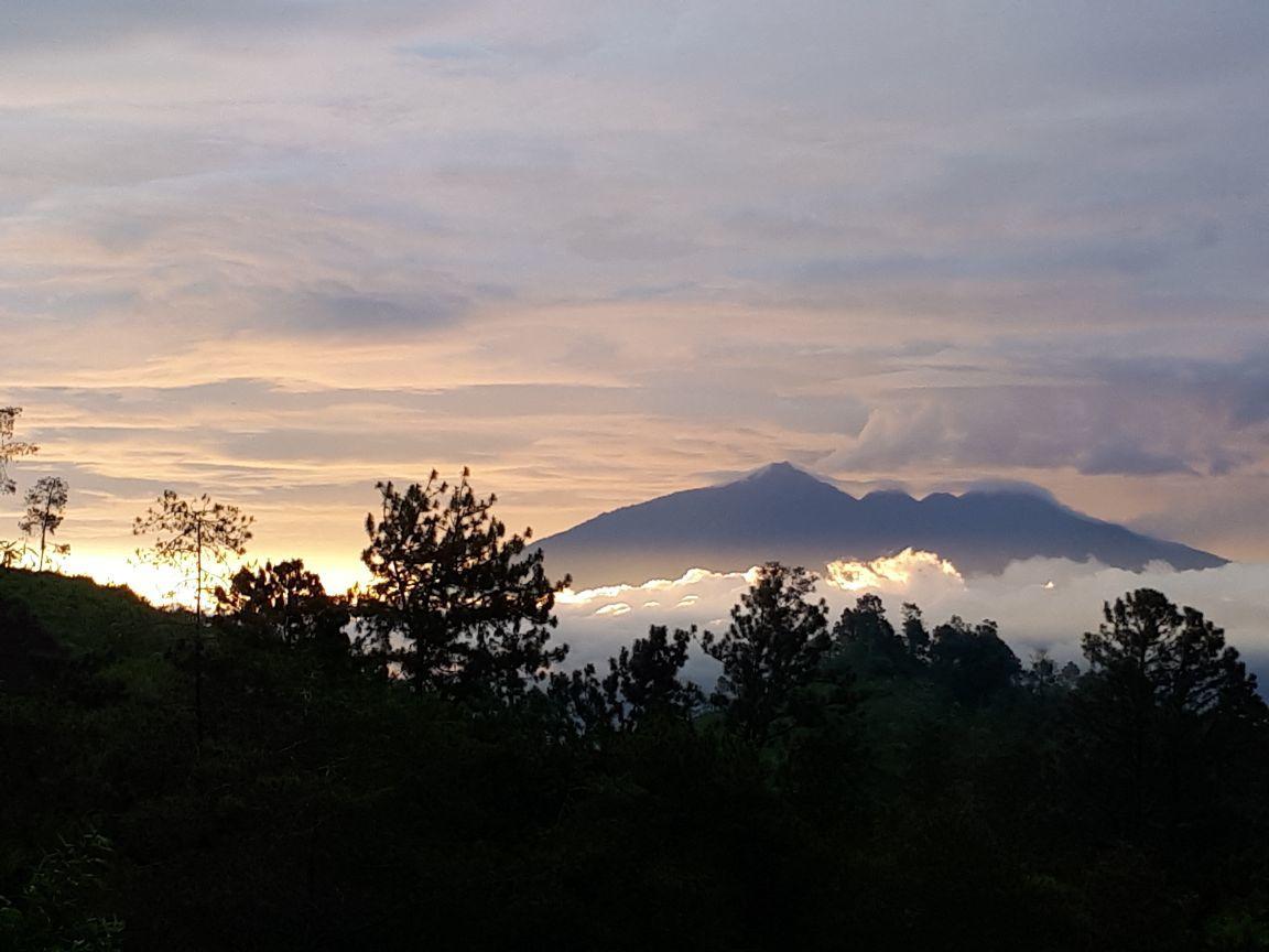 Tosari Bromo Tanjung 아파트 외부 사진